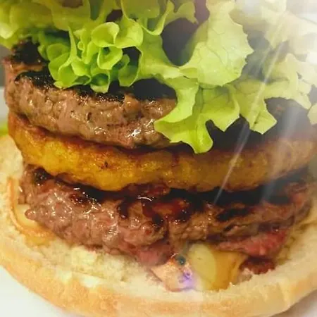 L'ameriviere*** Hotel Aubrives